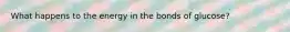 What happens to the energy in the bonds of glucose?