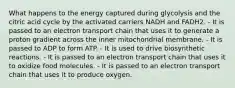 What happens to the energy captured during glycolysis and the citric acid cycle by the activated carriers NADH and FADH2. - It is passed to an electron transport chain that uses it to generate a proton gradient across the inner mitochondrial membrane. - It is passed to ADP to form ATP. - It is used to drive biosynthetic reactions. - It is passed to an electron transport chain that uses it to oxidize food molecules. - It is passed to an electron transport chain that uses it to produce oxygen.