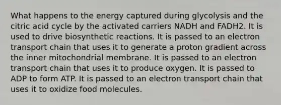 What happens to the energy captured during glycolysis and the citric acid cycle by the activated carriers NADH and FADH2. It is used to drive biosynthetic reactions. It is passed to an electron transport chain that uses it to generate a proton gradient across the inner mitochondrial membrane. It is passed to an electron transport chain that uses it to produce oxygen. It is passed to ADP to form ATP. It is passed to an electron transport chain that uses it to oxidize food molecules.