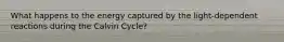 What happens to the energy captured by the light-dependent reactions during the Calvin Cycle?