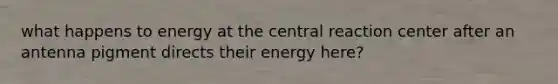 what happens to energy at the central reaction center after an antenna pigment directs their energy here?