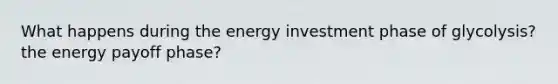 What happens during the energy investment phase of glycolysis? the energy payoff phase?