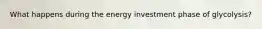 What happens during the energy investment phase of glycolysis?