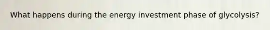 What happens during the energy investment phase of glycolysis?