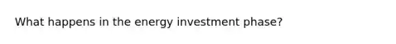 What happens in the energy investment phase?