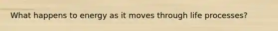 What happens to energy as it moves through life processes?