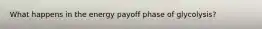What happens in the energy payoff phase of glycolysis?