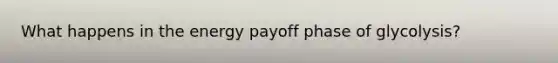 What happens in the energy payoff phase of glycolysis?