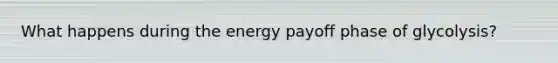 What happens during the energy payoff phase of glycolysis?