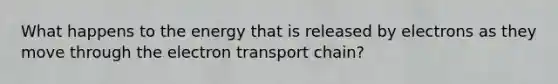 What happens to the energy that is released by electrons as they move through the electron transport chain?