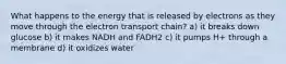 What happens to the energy that is released by electrons as they move through the electron transport chain? a) it breaks down glucose b) it makes NADH and FADH2 c) it pumps H+ through a membrane d) it oxidizes water