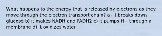 What happens to the energy that is released by electrons as they move through the electron transport chain? a) it breaks down glucose b) it makes NADH and FADH2 c) it pumps H+ through a membrane d) it oxidizes water