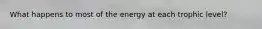 What happens to most of the energy at each trophic level?