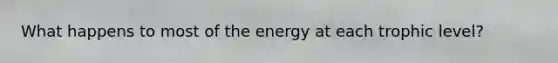 What happens to most of the energy at each trophic level?