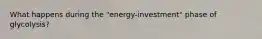 What happens during the "energy-investment" phase of glycolysis?