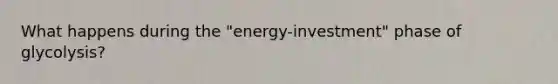 What happens during the "energy-investment" phase of glycolysis?