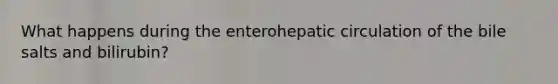 What happens during the enterohepatic circulation of the bile salts and bilirubin?