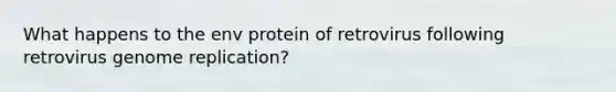 What happens to the env protein of retrovirus following retrovirus genome replication?