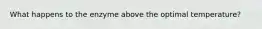What happens to the enzyme above the optimal temperature?