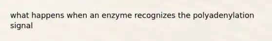 what happens when an enzyme recognizes the polyadenylation signal