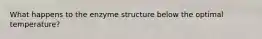 What happens to the enzyme structure below the optimal temperature?