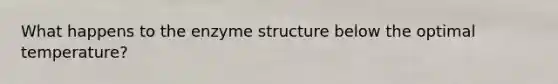 What happens to the enzyme structure below the optimal temperature?