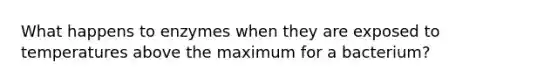 What happens to enzymes when they are exposed to temperatures above the maximum for a bacterium?