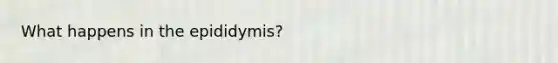 What happens in the epididymis?