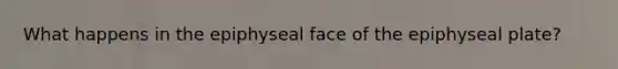 What happens in the epiphyseal face of the epiphyseal plate?