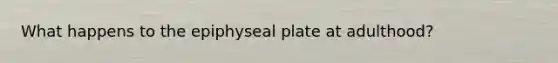 What happens to the epiphyseal plate at adulthood?