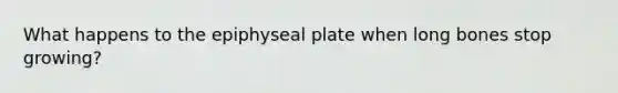 What happens to the epiphyseal plate when long bones stop growing?