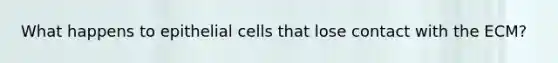 What happens to epithelial cells that lose contact with the ECM?