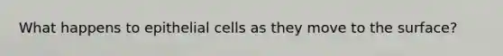 What happens to epithelial cells as they move to the surface?