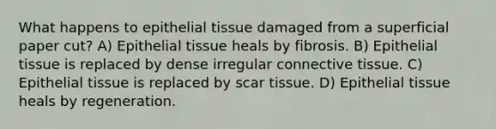 What happens to epithelial tissue damaged from a superficial paper cut? A) Epithelial tissue heals by fibrosis. B) Epithelial tissue is replaced by dense irregular connective tissue. C) Epithelial tissue is replaced by scar tissue. D) Epithelial tissue heals by regeneration.