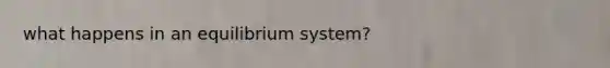 what happens in an equilibrium system?