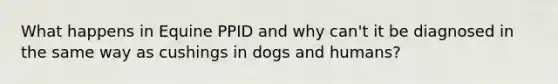 What happens in Equine PPID and why can't it be diagnosed in the same way as cushings in dogs and humans?