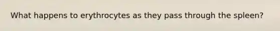 What happens to erythrocytes as they pass through the spleen?