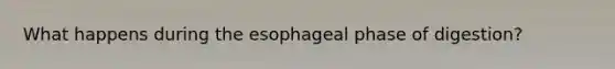 What happens during the esophageal phase of digestion?