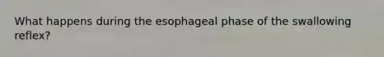 What happens during the esophageal phase of the swallowing reflex?