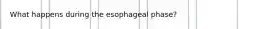 What happens during the esophageal phase?