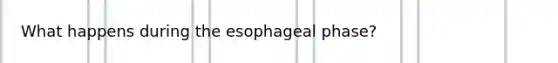 What happens during the esophageal phase?