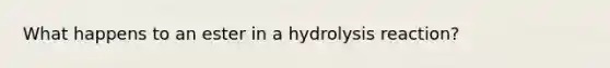 What happens to an ester in a hydrolysis reaction?