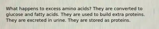 What happens to excess <a href='https://www.questionai.com/knowledge/k9gb720LCl-amino-acids' class='anchor-knowledge'>amino acids</a>? They are converted to glucose and fatty acids. They are used to build extra proteins. They are excreted in urine. They are stored as proteins.