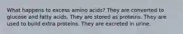 What happens to excess amino acids? They are converted to glucose and fatty acids. They are stored as proteins. They are used to build extra proteins. They are excreted in urine.