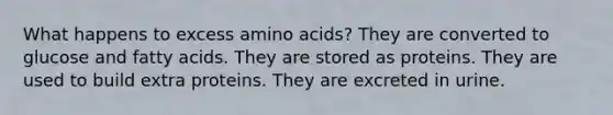 What happens to excess amino acids? They are converted to glucose and fatty acids. They are stored as proteins. They are used to build extra proteins. They are excreted in urine.