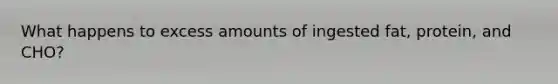 What happens to excess amounts of ingested fat, protein, and CHO?