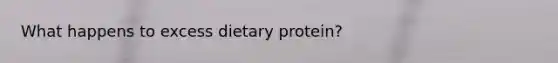What happens to excess dietary protein?