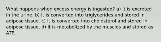 What happens when excess energy is ingested? a) It is excreted in the urine. b) It is converted into triglycerides and stored in adipose tissue. c) It is converted into cholesterol and stored in adipose tissue. d) It is metabolized by the muscles and stored as ATP.