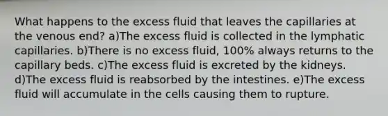 What happens to the excess fluid that leaves the capillaries at the venous end? a)The excess fluid is collected in the lymphatic capillaries. b)There is no excess fluid, 100% always returns to the capillary beds. c)The excess fluid is excreted by the kidneys. d)The excess fluid is reabsorbed by the intestines. e)The excess fluid will accumulate in the cells causing them to rupture.