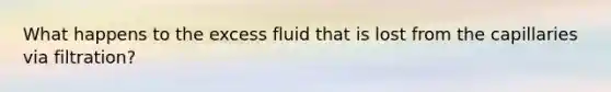 What happens to the excess fluid that is lost from the capillaries via filtration?